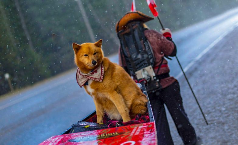 The Most Dubious Undertaking Of The Year